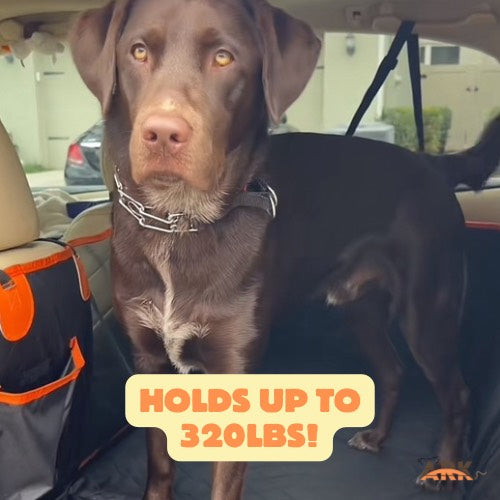 Ark™ PawShield Seat Cover