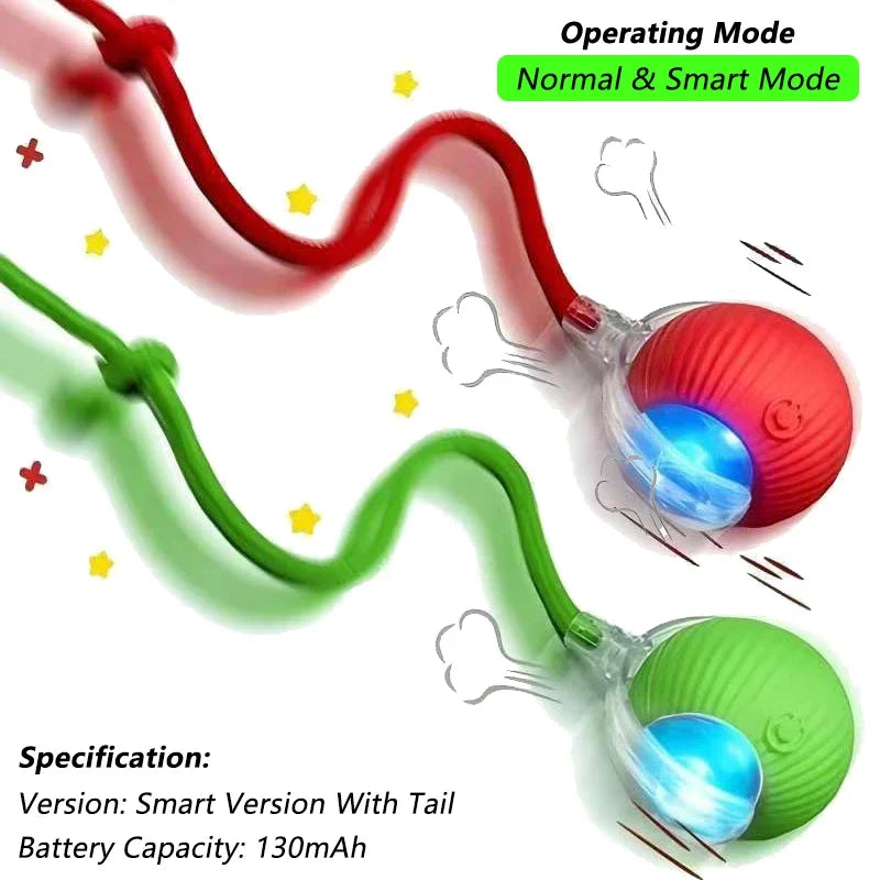 TurboTail™ - Enrichment Toy