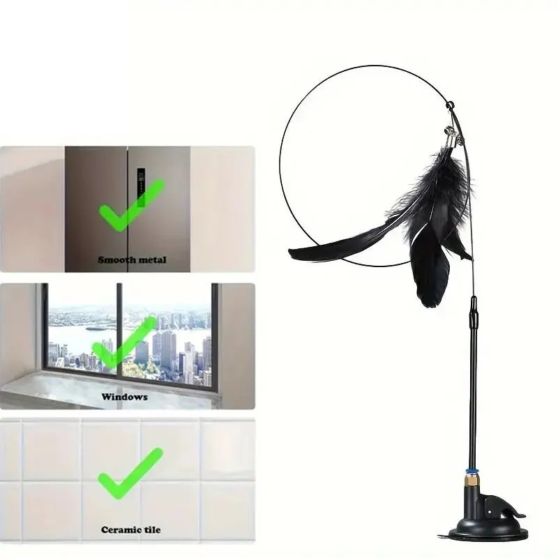 Interactive Bird Set.