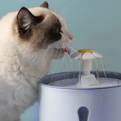 Feline-Fountain.