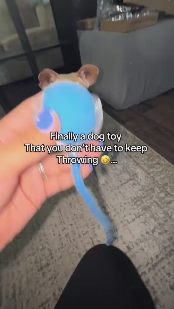 TurboTail™ - Enrichment Toy